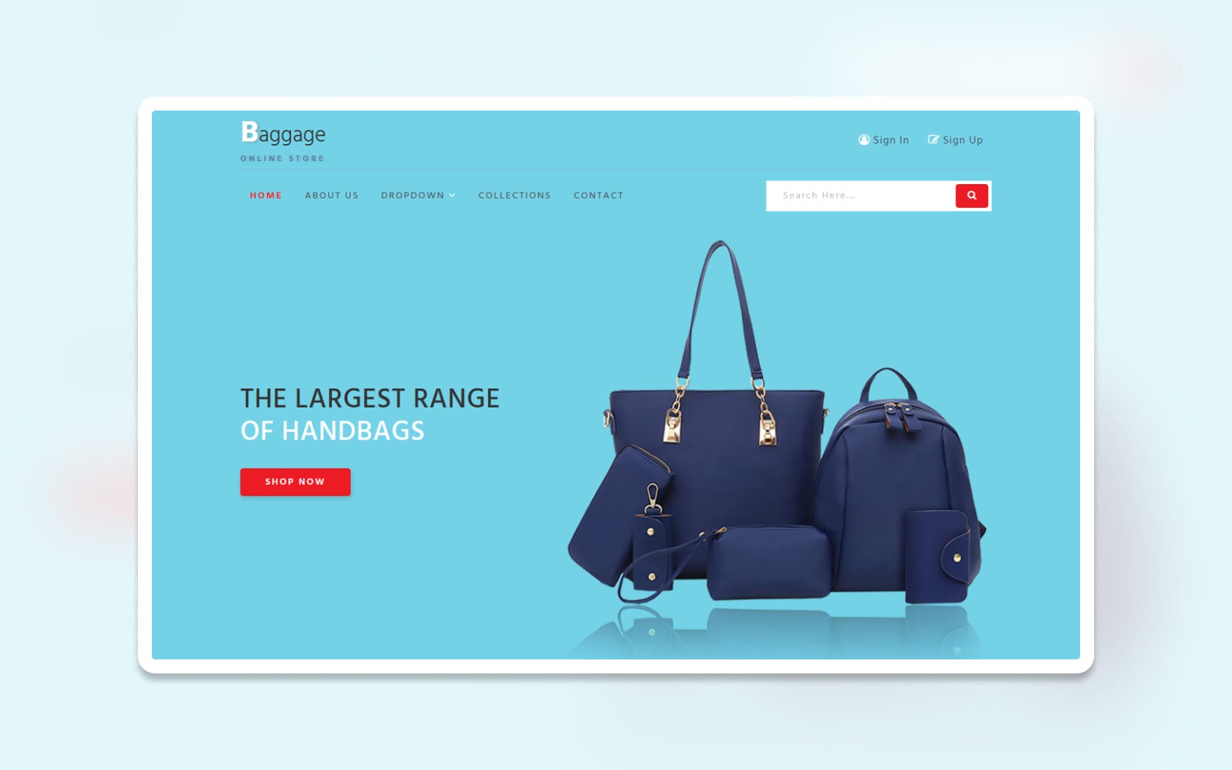 baggage_web_Free29-05-2019_174619290.jpg